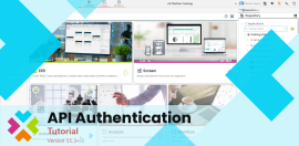 API_Authentication_v4_First_Frame API_Authentication_v4_First_Frame