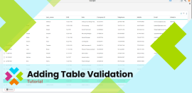 Table Validation Thumbnail